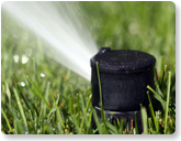Gainesville irrigation 